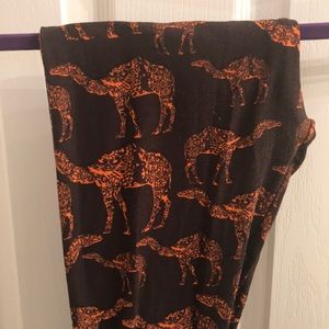 Camel leggings!